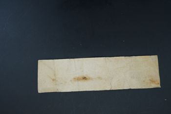 Media type: image;   Malacology 178593 Description: Digital documentation photo of dry specimen.;